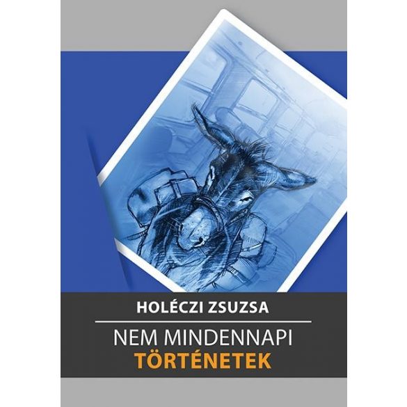 Cover of HOLÉCZI ZSUZSA: NEM MINDENNAPI TÖRTÉNETEK